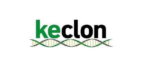 Logo keclon